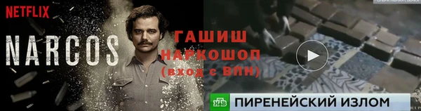 PSILOCYBIN Сосновый Бор