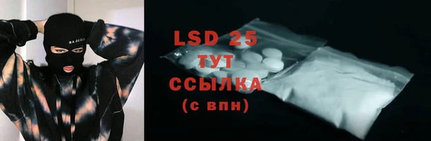 PSILOCYBIN Сосновый Бор